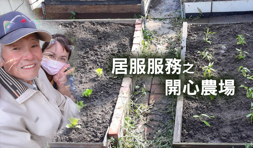 居家服務之開心農場